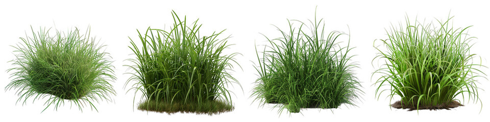 Lush Green Grass Clump Set, 3D Render Isolated on White Background, PNG File