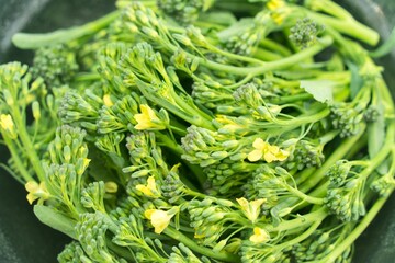 ブロッコリーの改良品種：はなっこりー
