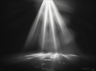 On a black background, beautiful rays of light are abstracted.