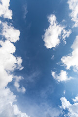 Obraz premium Gazing at the electric blue sky filled with fluffy cumulus clouds creates a mesmerizing natural landscape. The patterns formed by the clouds resemble artwork in the sky.