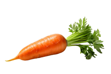 transparent vegetables