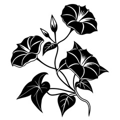 Morning glories, coloring book page silhouette vector illustration