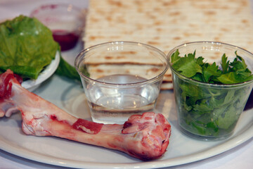 Passover Seder, celebration of Jewish Easter. Paris. France.