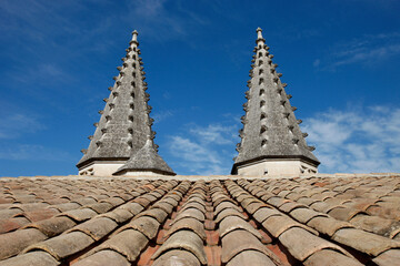 Palace of the Popes in Avignon.  Tile roof. France.