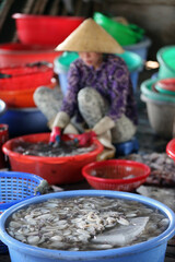 Vung Tau fish market.  Woman sort through fresh catch of fish. Vietnam.