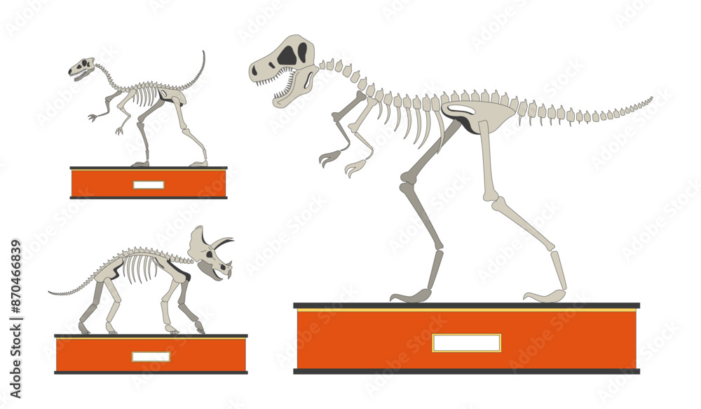 Poster fossil dinosaurs exhibition 2d linear cartoon objects set. dino bones skeletons isolated line vector