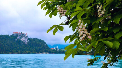 Bled Lake with its surroundings on cloudy spring day, Slovenia © Jana