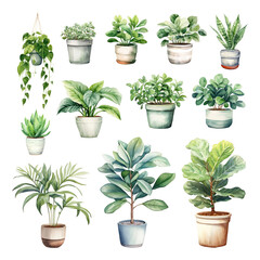 Obraz premium Watercolor houseplant png element set, transparent background