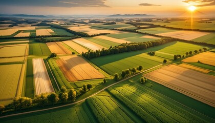 Fototapeta premium Agricultural fields from above