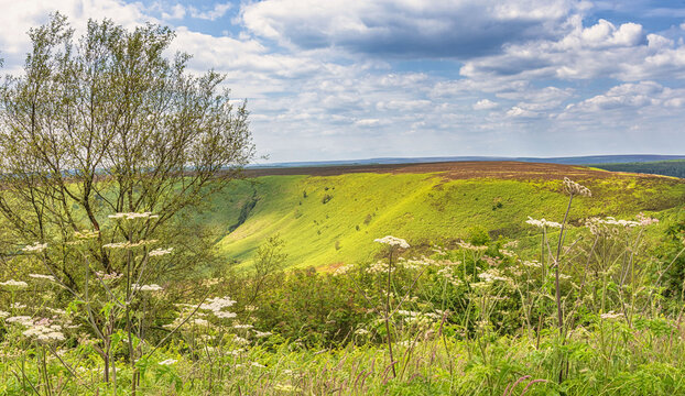 Moorland panorama.