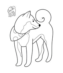 Hand drawn Akita dog in line style, outlined design. Editable stroke. Isolated on white vector illustration