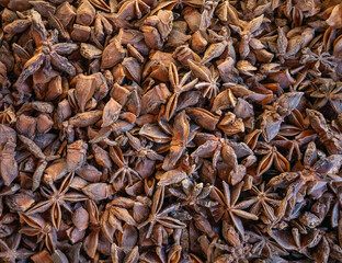 dry star anise fruits close up