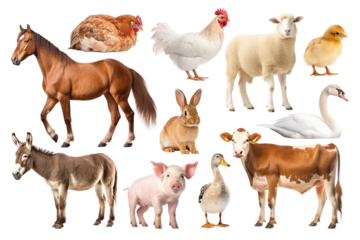 Farm animal png element set, transparent background