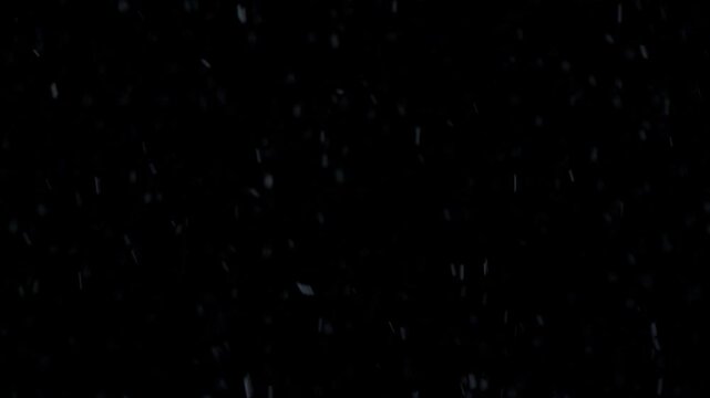 Loopable Falling snowflakes slowly tumbling down in wind extracted from real camera footage