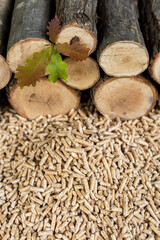 A pile of high quality oak pellets in front of a wall of wood.
