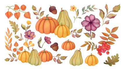 watercolor autumn set with pumpkins, leaves, winter cherry,  red ripe rowan berries, mountain ash. autumn harvest collection. clip art and cut out elements