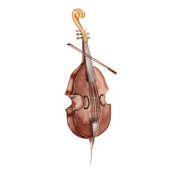 Vintage Double Bass musical instrument. Classical viola da gamba with a string bow. Hand drawn watercolor illustration isolated on transparent background. For concert posters, flyers, wedding cards