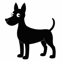 black and white dog