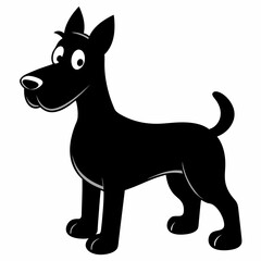 black and white dog