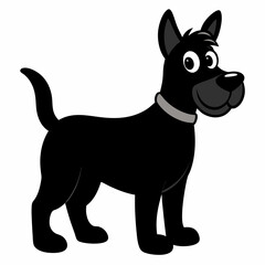 black and white dog