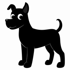 black and white dog