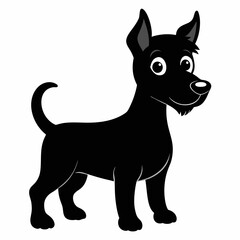 black and white dog