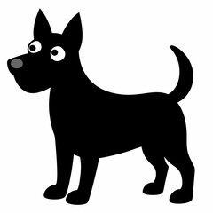 black and white dog