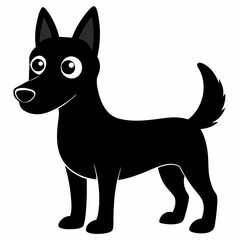 black and white dog