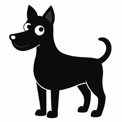 black and white dog
