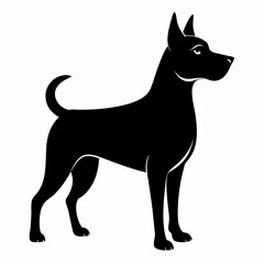 black and white dog