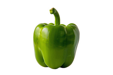a green bell pepper with a stem