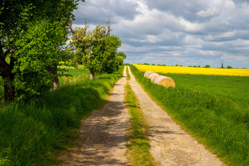 Dirt road with rounds of hay bales at the edge and trees, cloudy