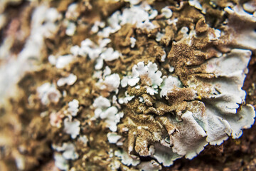 Grota Haiducilor, DN22D 12, Caugagia, Europe, Romania, 2024 year