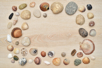 Sea shells of different sizes, shapes and colors on the brown wooden background. Top view. Close-up. Copy space.

