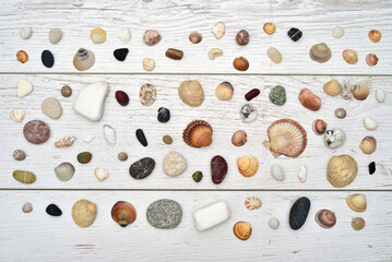 Sea shells, snails and pebbles of different sizes, shapes and colors on the vintage white scratched wooden texture. Top view. Close-up. 