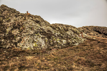 Grota Haiducilor, DN22D 12, Caugagia, Europe, Romania, 2024 year