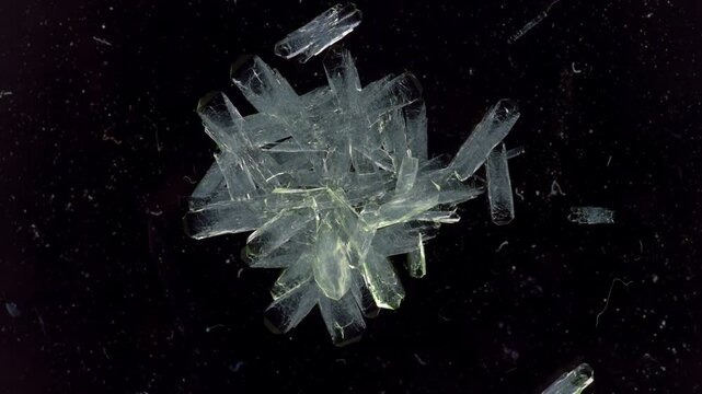 time lapse of growing artificial crystals in a scientific laboratory
