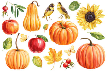Pumpkins, yellow flower sunflower, leaves, birds isolated. Watercolor illustration, autumn leaf, apple, rose hip berries