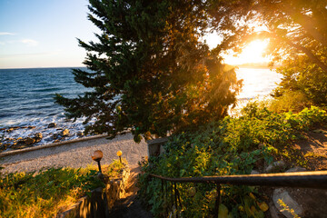 Beautiful colors of the sky at sunset over the sea in Nessebar, Bulgaria between trees in the sea green.