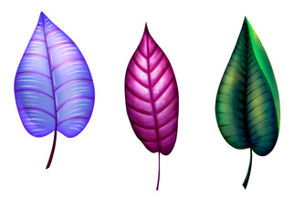 Set plant colorful abstract leaveshand drawn isolated doodle graphics digital drawing clip art illustration tropical plants magic cartoon style fairytale contrast light