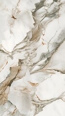 Fototapeta premium marble background Wallpaper