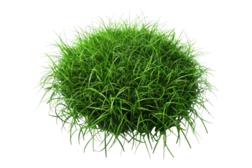 Patch of grass isolated on transparent background