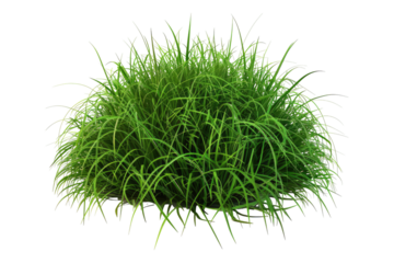 Patch of grass isolated on transparent background