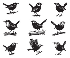 Sparrow silhouette vector illustration style with white background