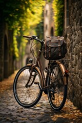 Fototapeta premium A bicycle is parked next to a stone wall in a quaint European setting. The scene is simple yet charming, with the bicycle resting against the textured wall