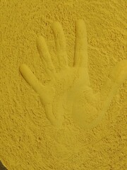 Yellow edible pollen grain of typha latifolia plant.typha latifolia pollen background 