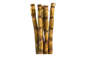 Sugar cane stack isolated on transparent background