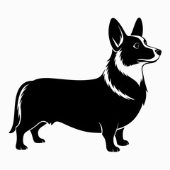 corgi dog ,puppy dog,Dog vector 