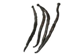 Vanilla beans isolated on transparent background