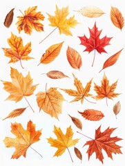 Obraz premium Colored Leaves on White Surface